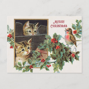 Postal Festiva Gatos y navidades de pájaros de la época