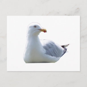 Postal Festiva Gaviota Relajada Reclinada en Poste de Cerca Bosqu