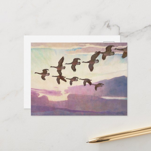 Postal Festiva Geese canadiense en primavera por Newell Convers W (Anverso/Reverso In Situ)