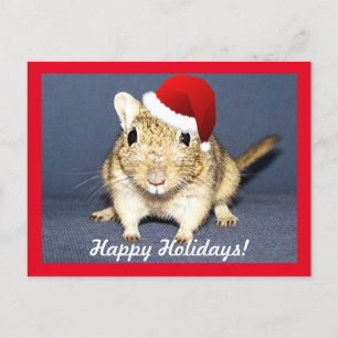 Postal Festiva Gerbil de Santa