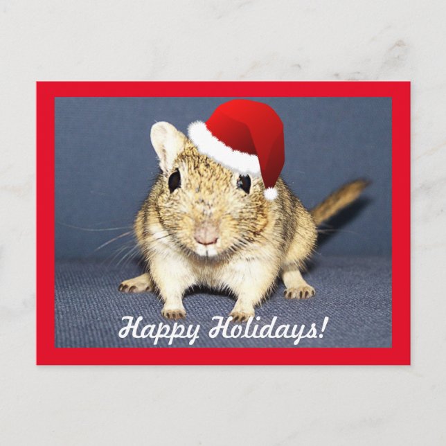 Postal Festiva Gerbil de Santa (Anverso)