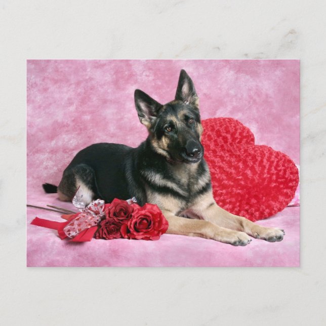 Postal Festiva German Shepherd Valentine (Anverso)