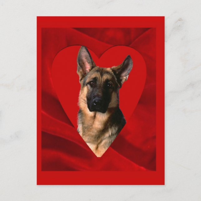 Postal Festiva German Shepherd Valentine (Anverso)