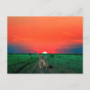 Postal Festiva Girafe en Serengeti - Atardecer