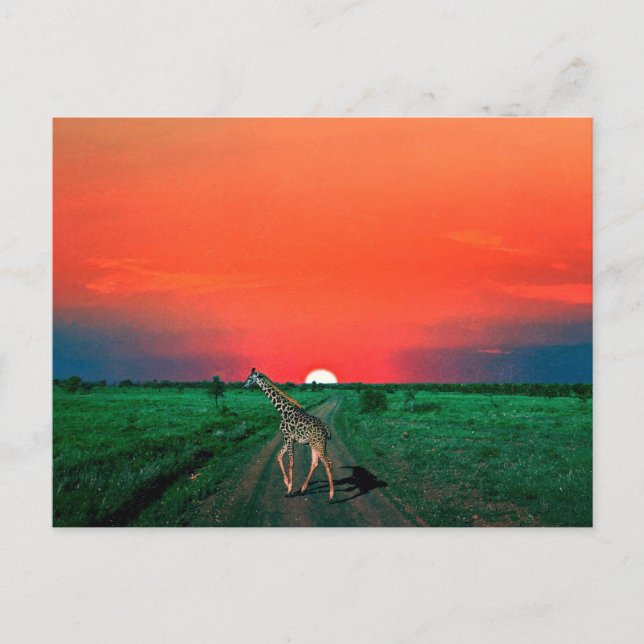 Postal Festiva Girafe en Serengeti - Atardecer (Anverso)