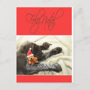 Postal Festiva Glossy Grizzly Navidades Feliz Natal