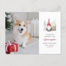Gnome lamenta a los Mascotas Navidades de fotos
