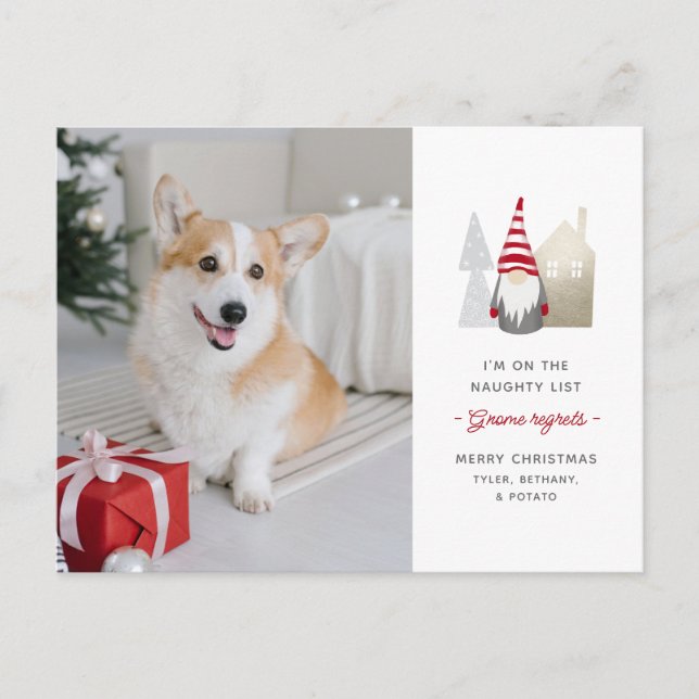 Postal Festiva Gnome lamenta a los Mascotas Navidades de fotos (Anverso)