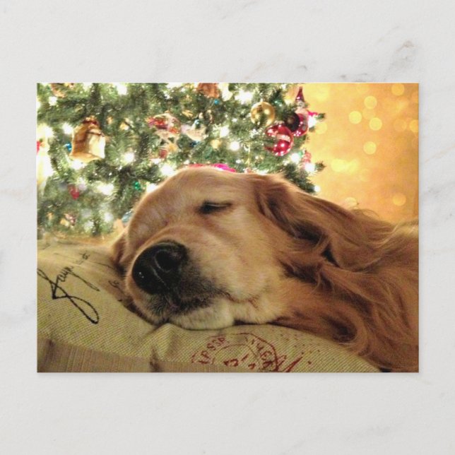 Postal Festiva Golden Retriever Asleep By Christmas Tree (Anverso)