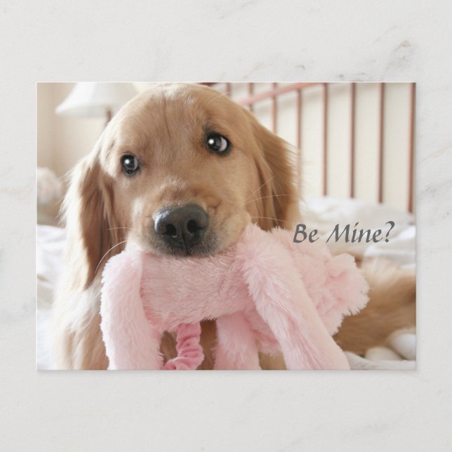 Postal Festiva Golden Retriever Be Mine El día de San Valentín (Anverso)