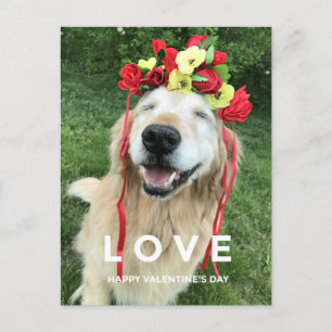 Postal Festiva Golden Retriever con El día de San Valentín de la