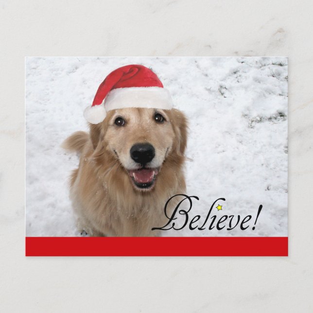 Postal Festiva Golden Retriever cree en los Navidades (Anverso)