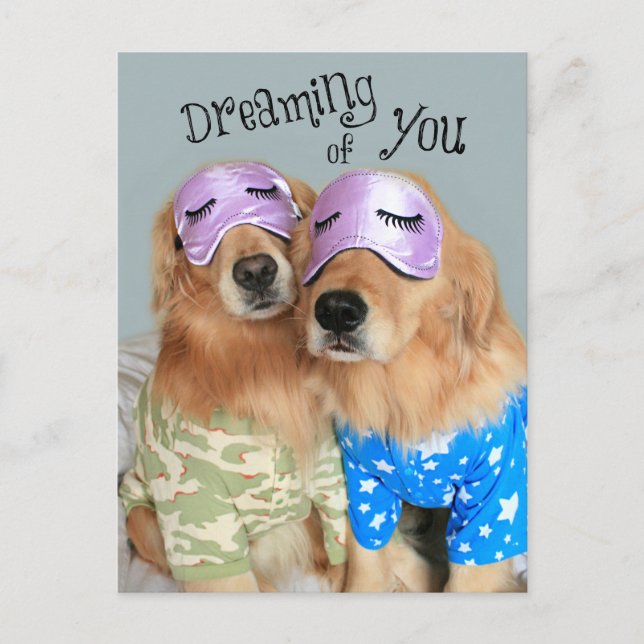 Postal Festiva Golden Retriever Dreaming of You El día de San Val (Anverso)