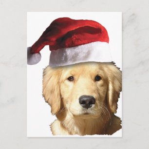 Postal Festiva Golden Retriever En Santa Hat