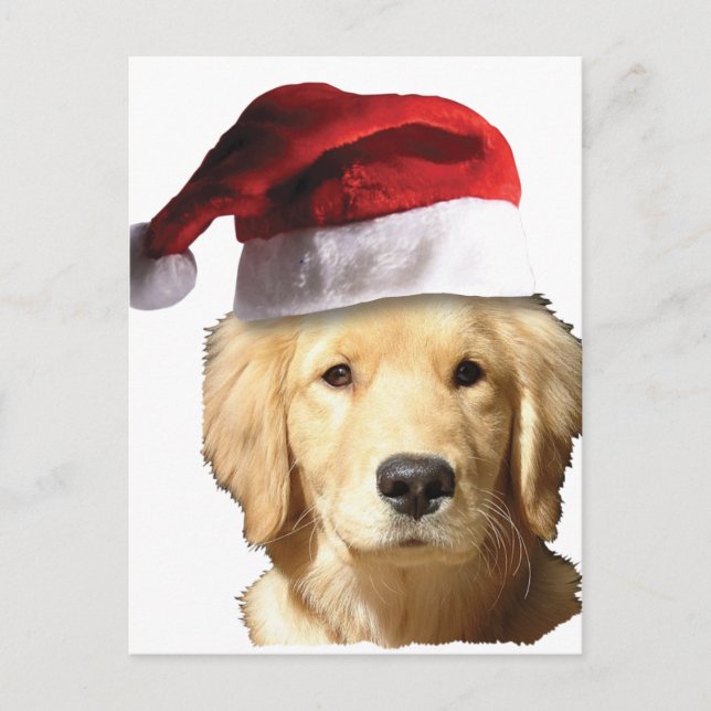 Postal Festiva Golden Retriever En Santa Hat (Anverso)
