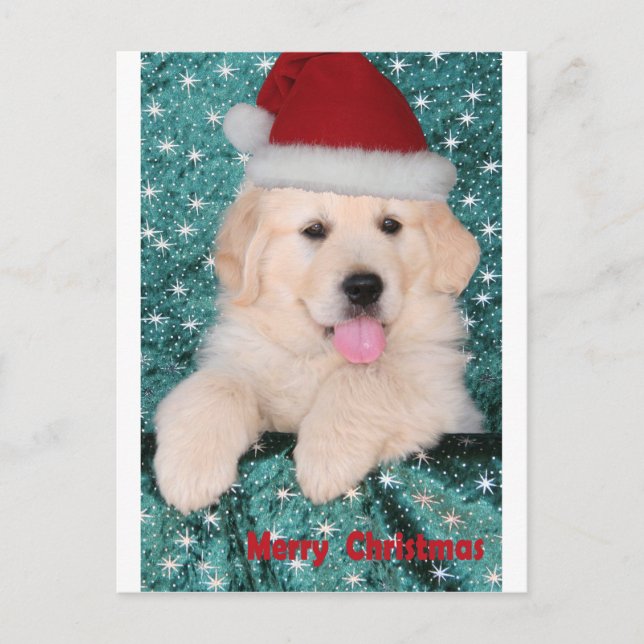 Postal Festiva Golden Retriever Navidades Puppy (Anverso)