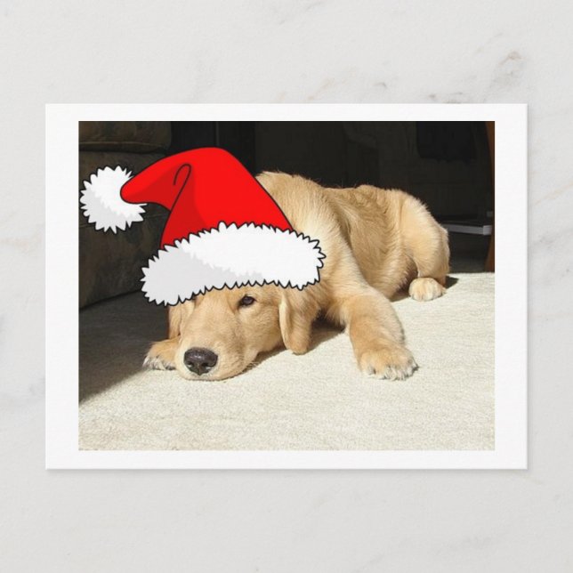 Postal Festiva Golden Retriever Navidades Puppy (Anverso)