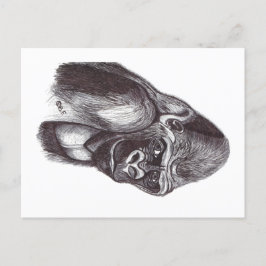 POSTAL FESTIVA GORILA