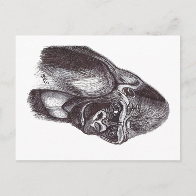 POSTAL FESTIVA GORILA (Anverso)