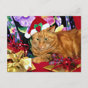 Postal Festiva Gorra de gato con Papá Noel - Postcard