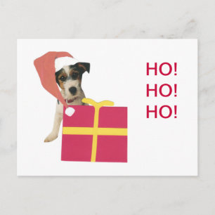 Postal Festiva Gorra de Jack Russell Terrier Santa
