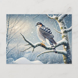 Postal Festiva Goshawk en Birch en Invierno