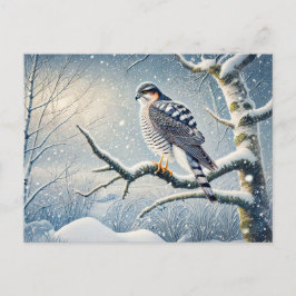 Postal Festiva Goshawk en Birch en Invierno