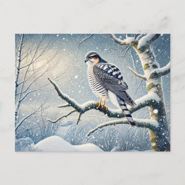 Postal Festiva Goshawk en Birch en Invierno (Anverso)
