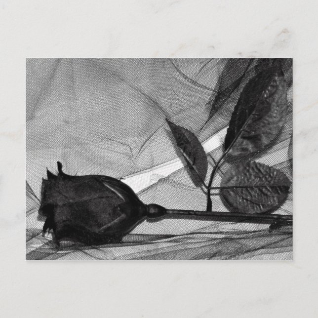 Postal Festiva Goth Valentine (Anverso)