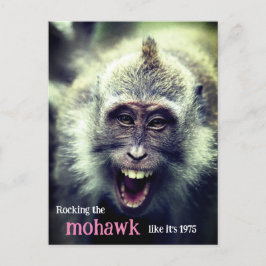 Postal Festiva Graciosa foto de mono macaco