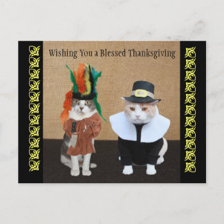 Postal Festiva Gracioso Día de Acción de Gracias para Gatos