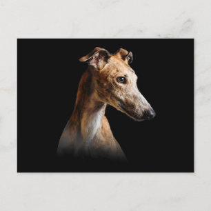 Postal Festiva Gracioso Greyhound Face Greyhound sonríe