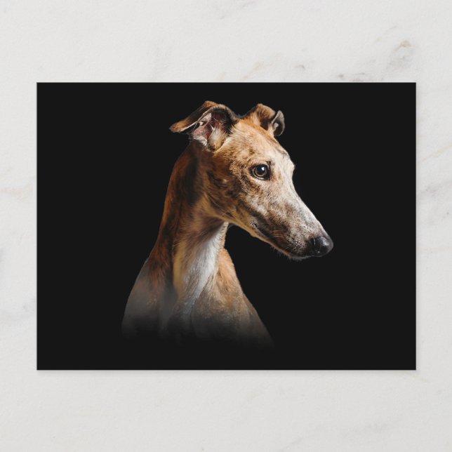 Postal Festiva Gracioso Greyhound Face Greyhound sonríe (Anverso)