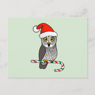 Postal Festiva Gran búho gris Santa