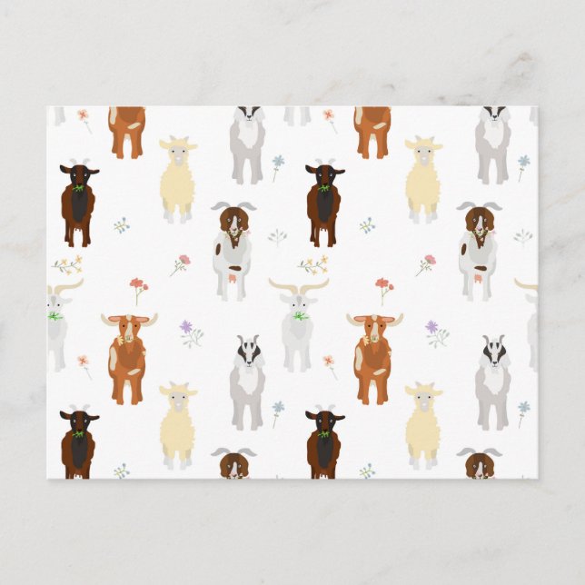 Postal Festiva Granja de cabras lindas (Anverso)