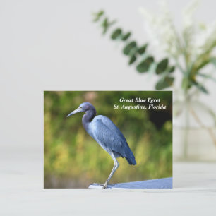 Postal Festiva Grano azul