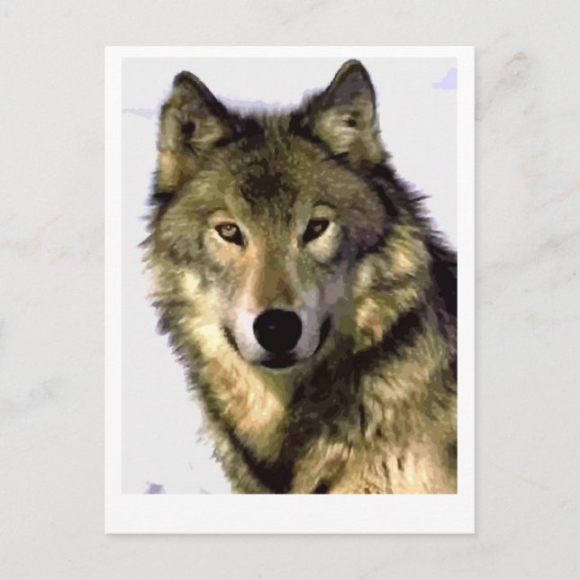 Postal Festiva Gray Wolf (Anverso)
