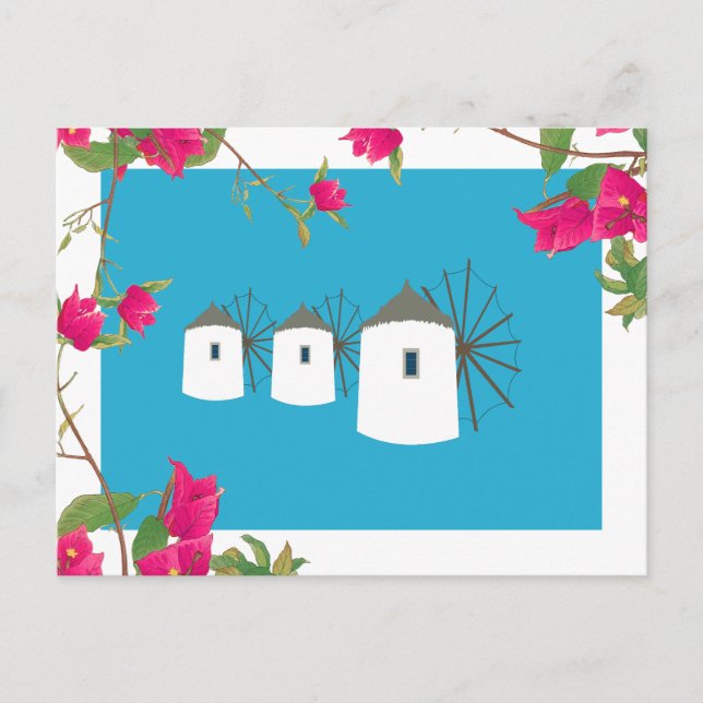 Postal Festiva Grecia Bougainvillea Isla Griega Molinos de viento (Anverso)