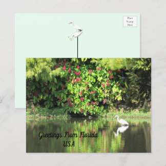 Postal Festiva Greetings from Florida - Egret in Landscape