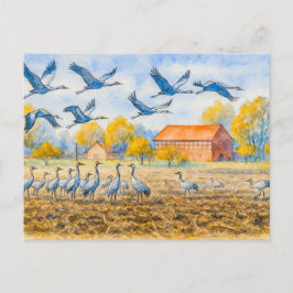 Postal Festiva Grúa en campo rhinow aquarell havelland