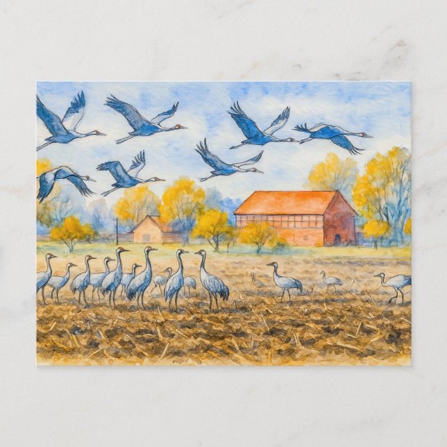 Postal Festiva Grúa en campo rhinow aquarell havelland (Anverso)