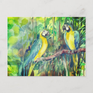 Postal Festiva Guacamayos azules y amarillos, amigos pájaros