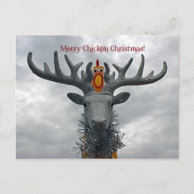 Postal Festiva Guay Merry Chicken Navidades Postcard! (Anverso)