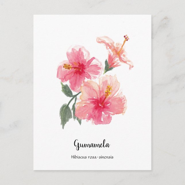 Postal Festiva Gumamela Hibiscus Watercolor Poster (Anverso)