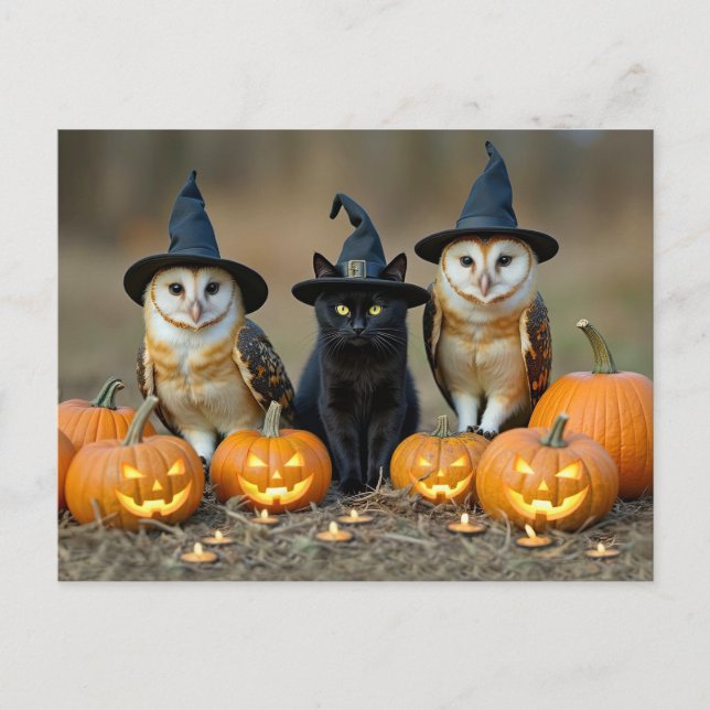 Postal Festiva Halloween Black Cat and Owls Cute (Anverso)