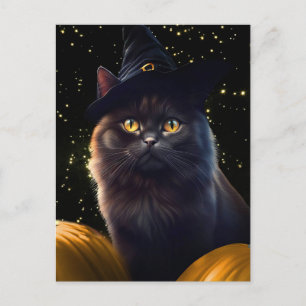 Postal Festiva Halloween Black Cat Witch Gorra and Pumpkins