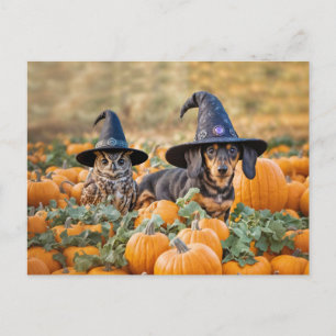 Postal Festiva Halloween Dachshund y Owl son divertidos