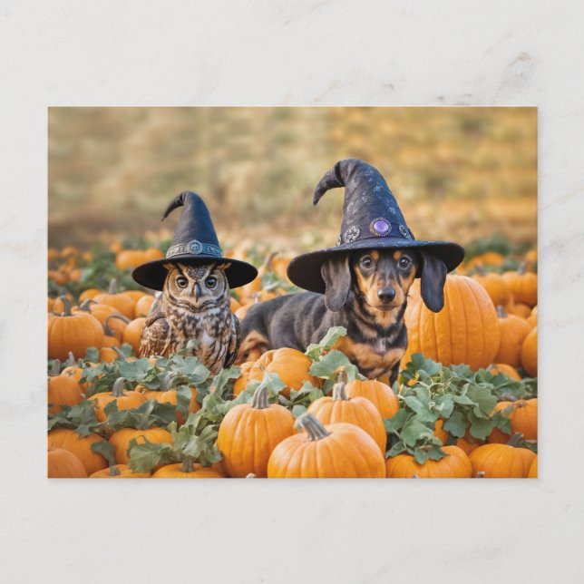 Postal Festiva Halloween Dachshund y Owl son divertidos (Anverso)