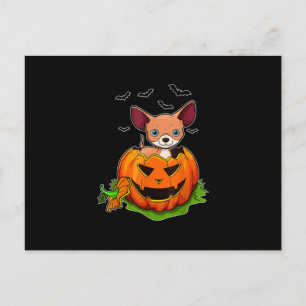 Postal Festiva Halloween Perros de Chihuahua adoran calabaza