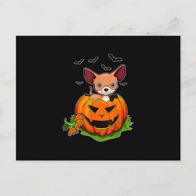 Postal Festiva Halloween Perros de Chihuahua adoran calabaza (Anverso)